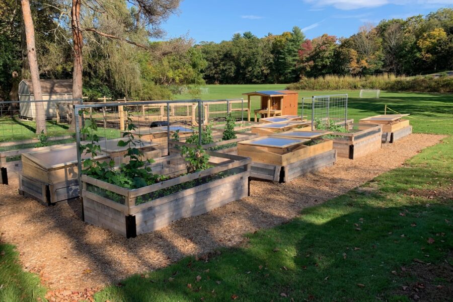 empty garden boxes in an open field on a sunny day