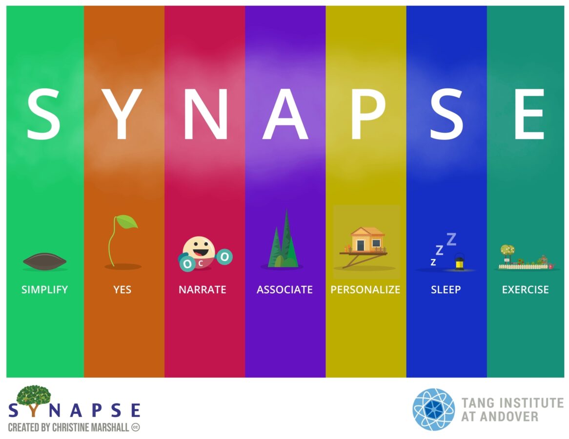 SYNAPSE