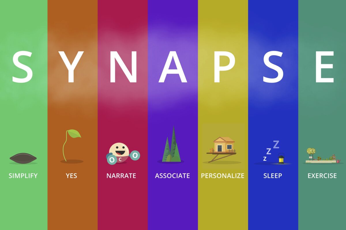 SYNAPSE