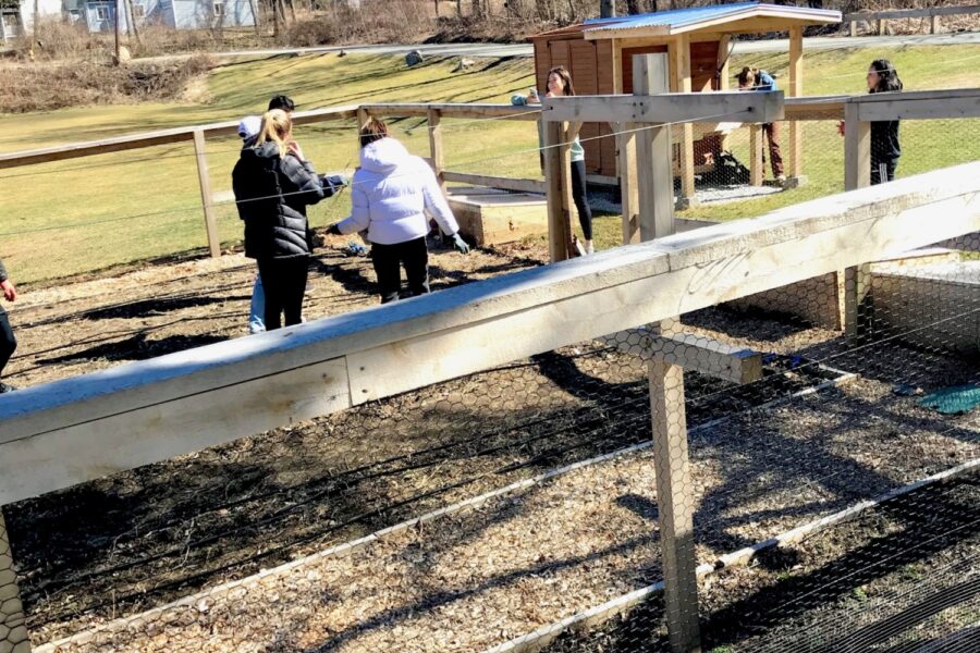 early spring garden with raised beds and students working in it; blue sky